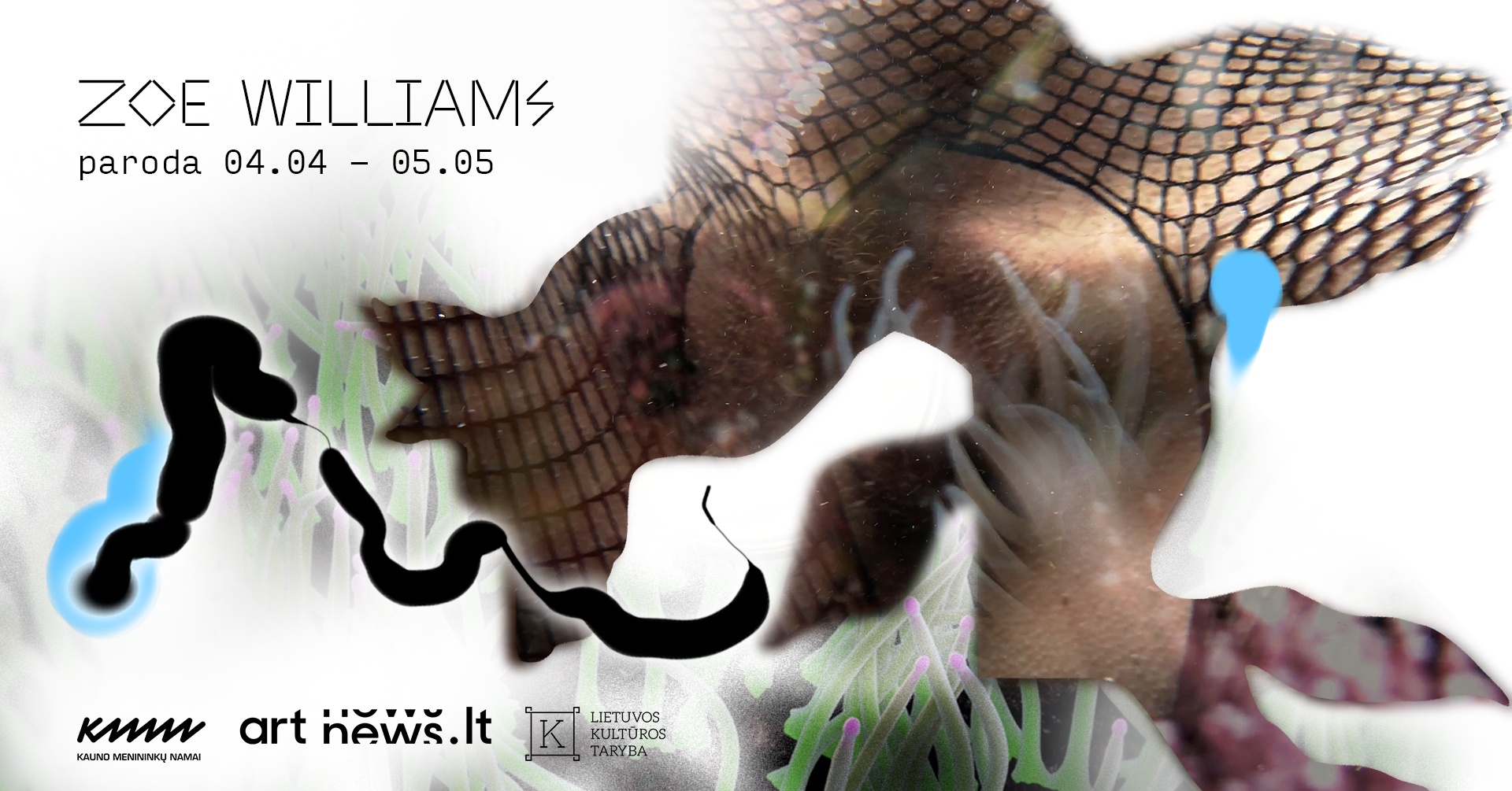 Sapnas pilvu į viršų (šuo ar žuvis?) | Zoe Williams paroda | Kauno menininkų namai